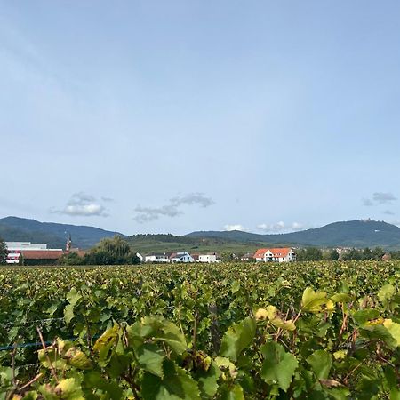 Oasis Tout Confort A Bergheim, Alsace 외부 사진
