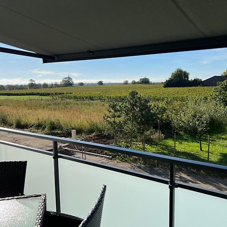 Oasis Tout Confort A Bergheim, Alsace 외부 사진
